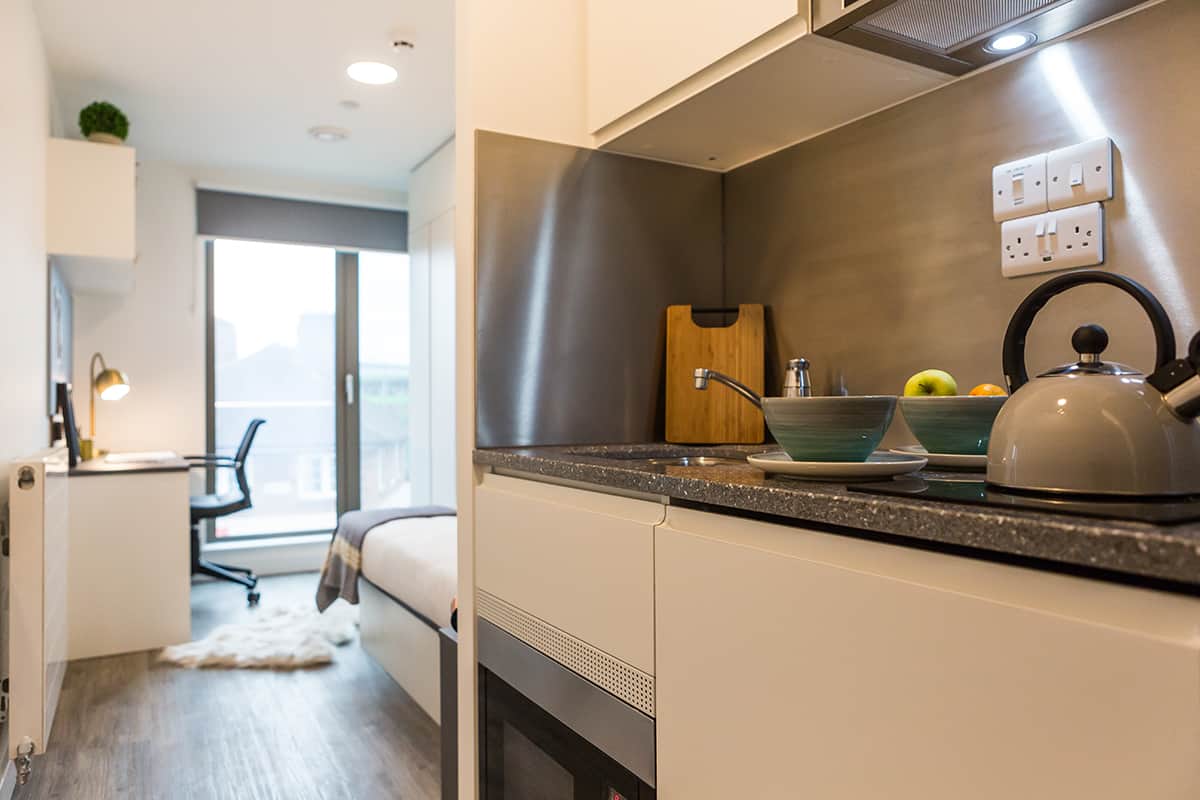 Bronze Studio Lower Level KITCHEN 2