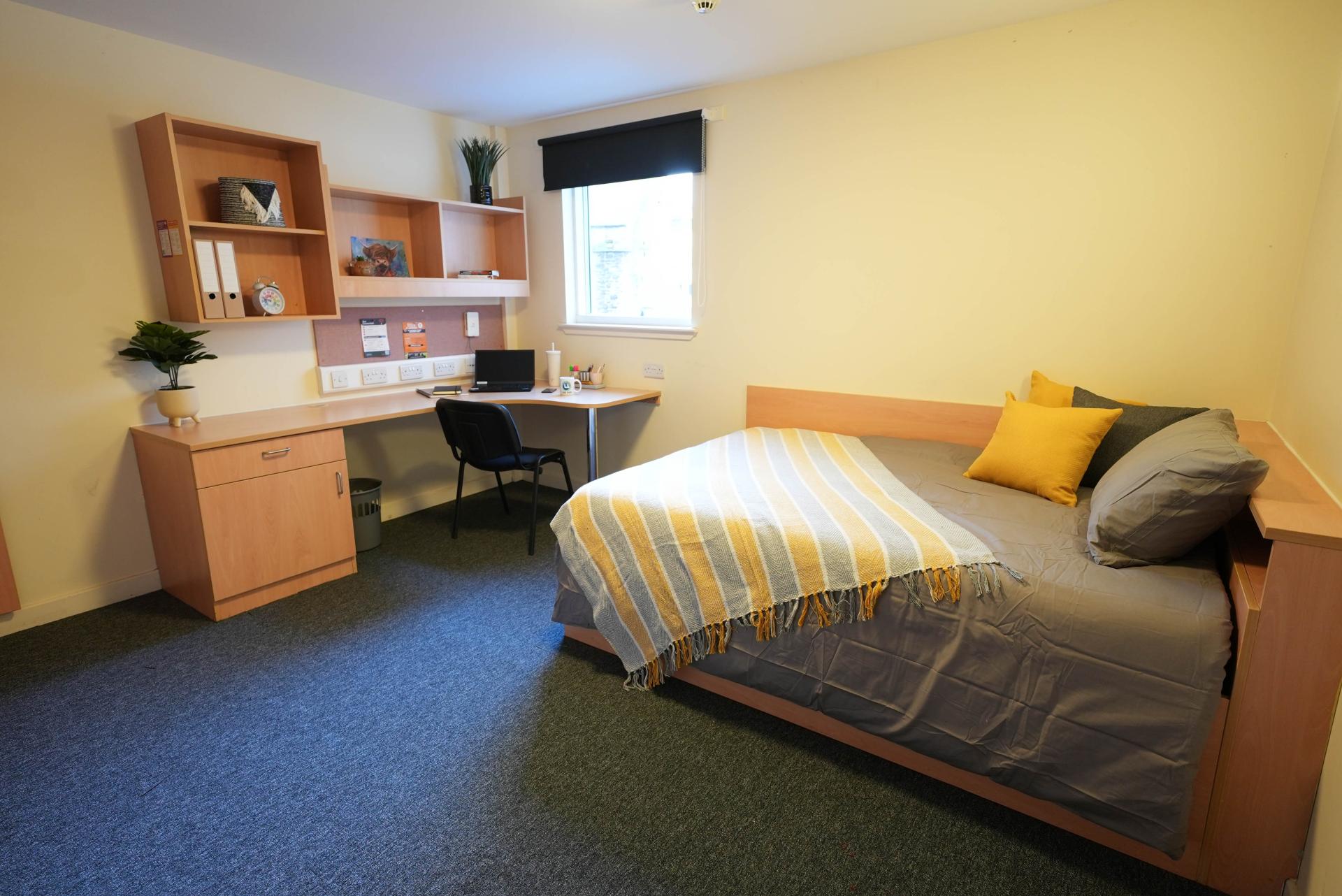 Double Ensuite (within 4 bed flat) room image 1