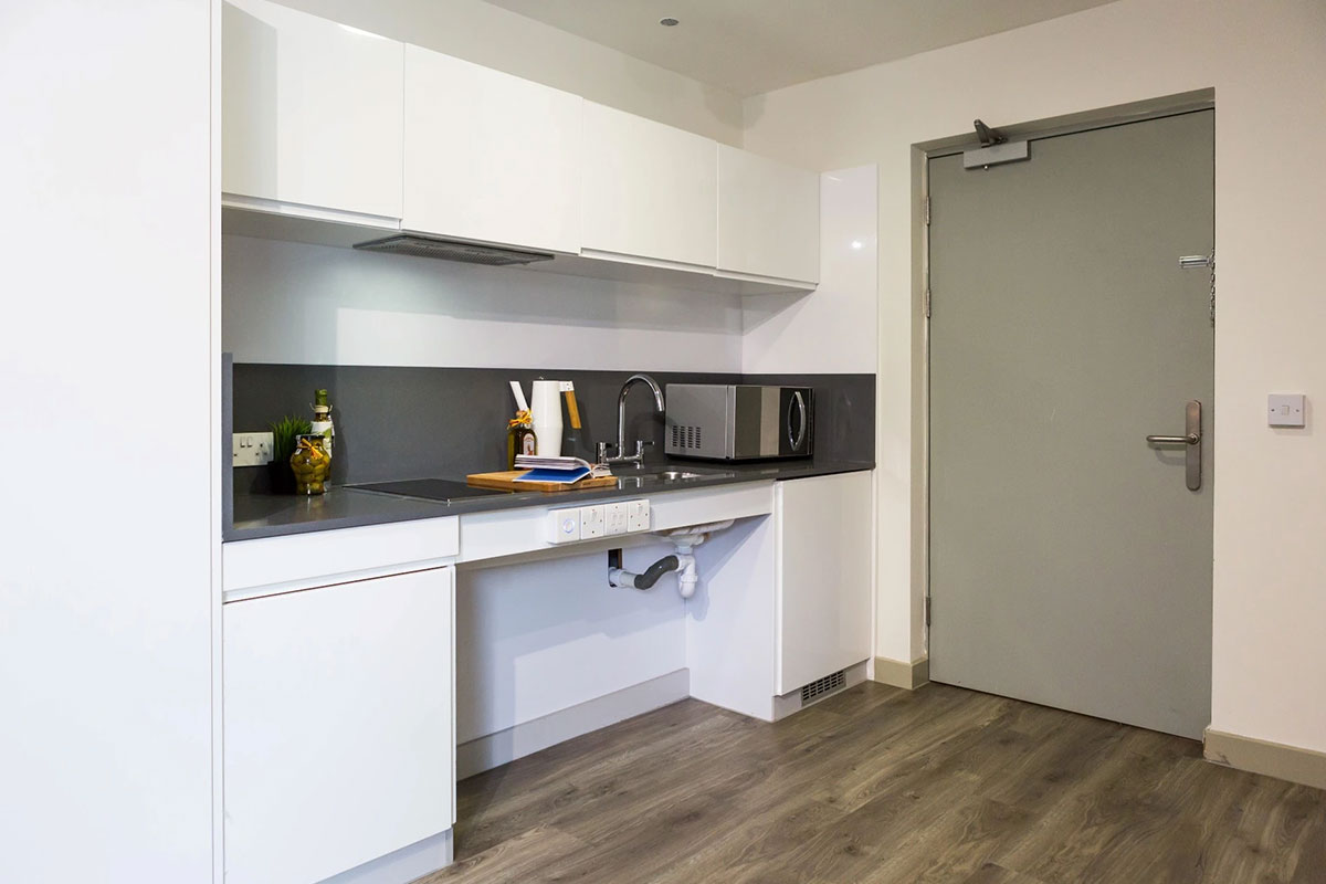 Platinum Studio Lower Level KITCHEN 1
