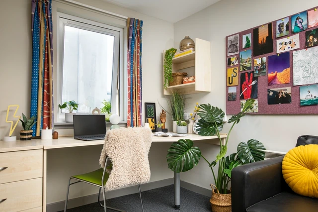 Studio Large High Double room image 2