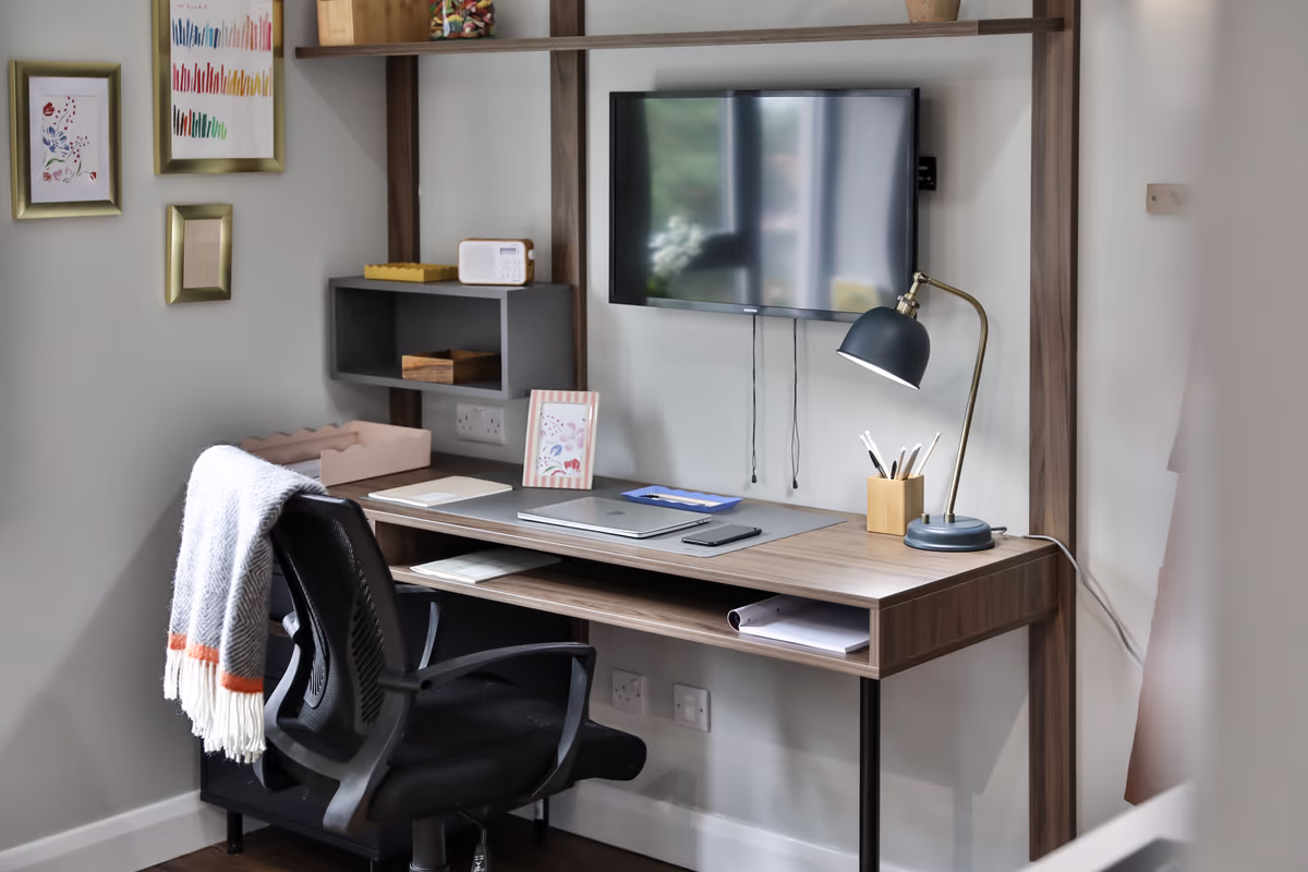 Premium Studio room image 6