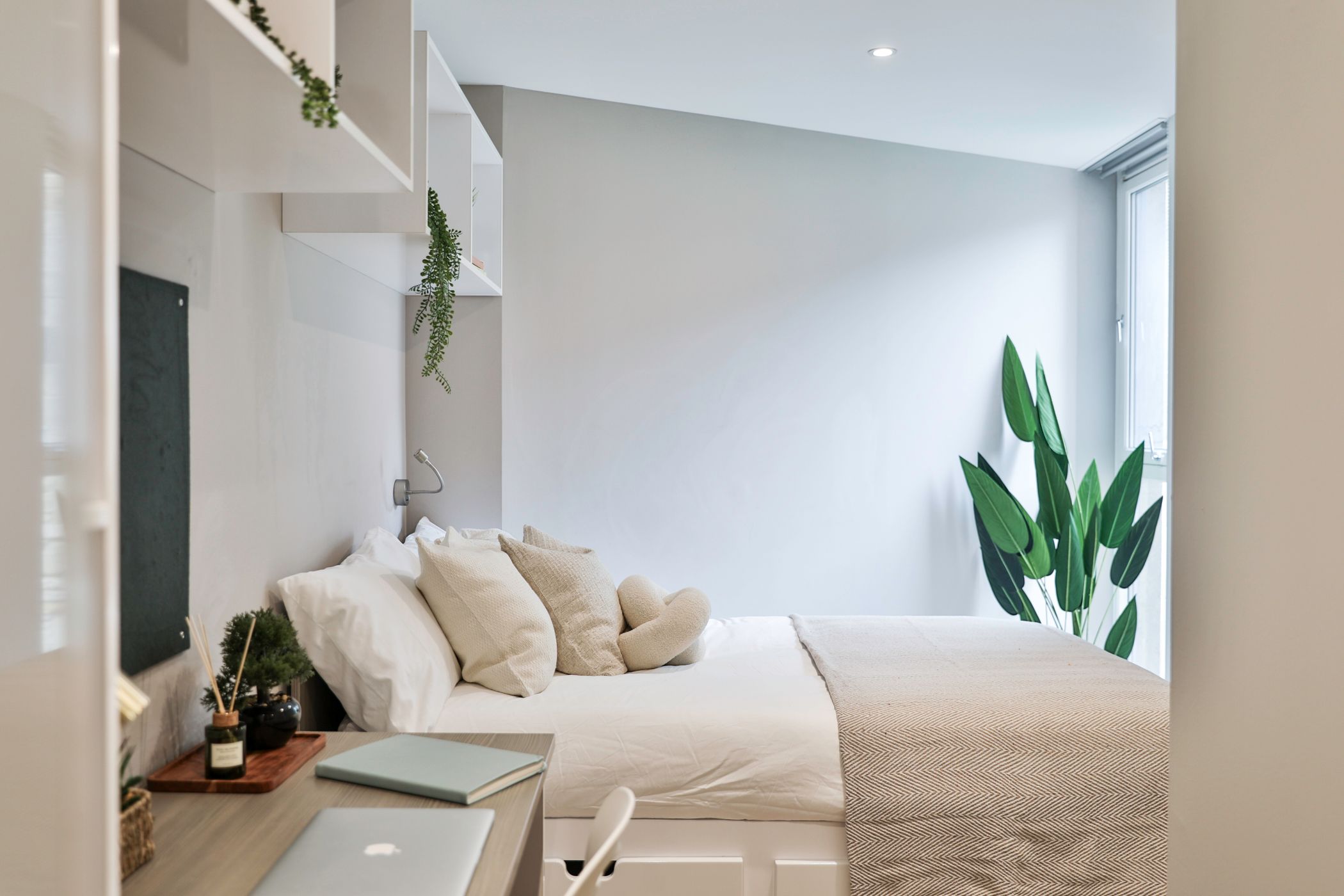 ROOM ROOM 3
