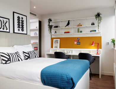 Room Type