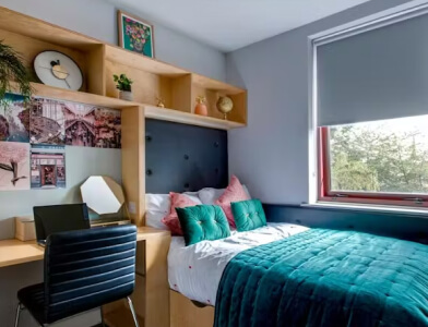 Room Type